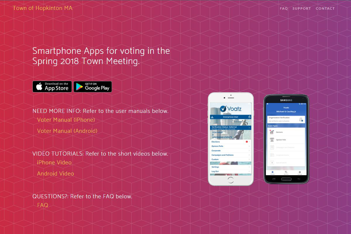 confidential blockchain voting app interface