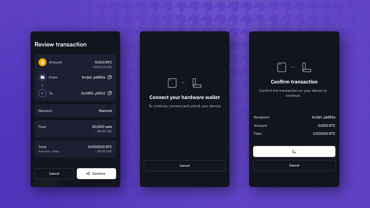 Ledger device transaction confirmation