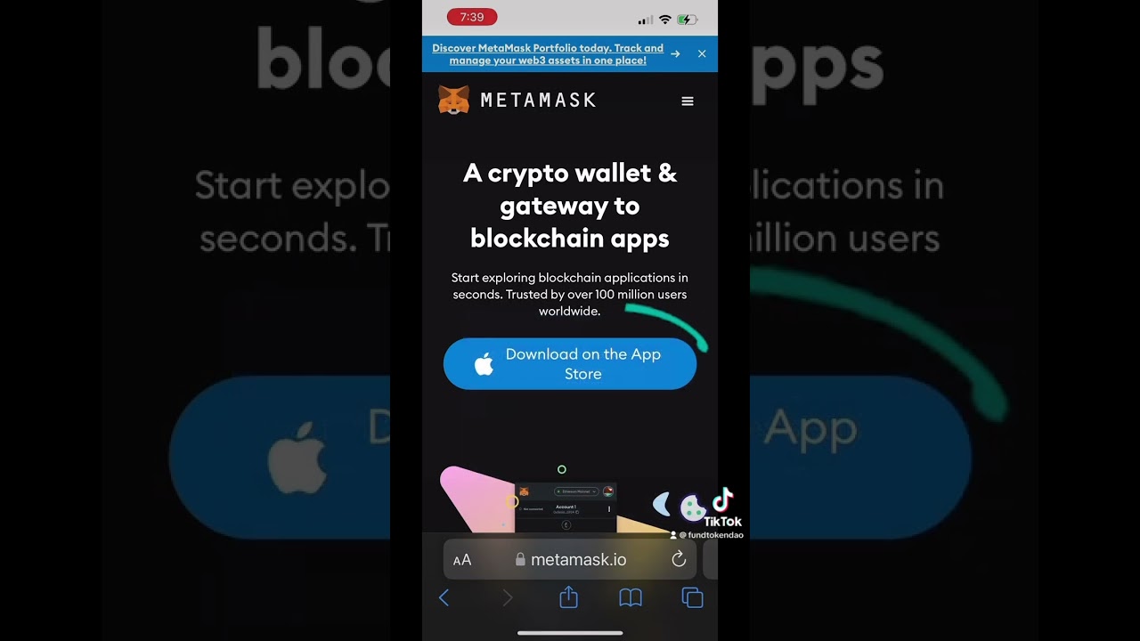 MetaMask wallet DAO voting