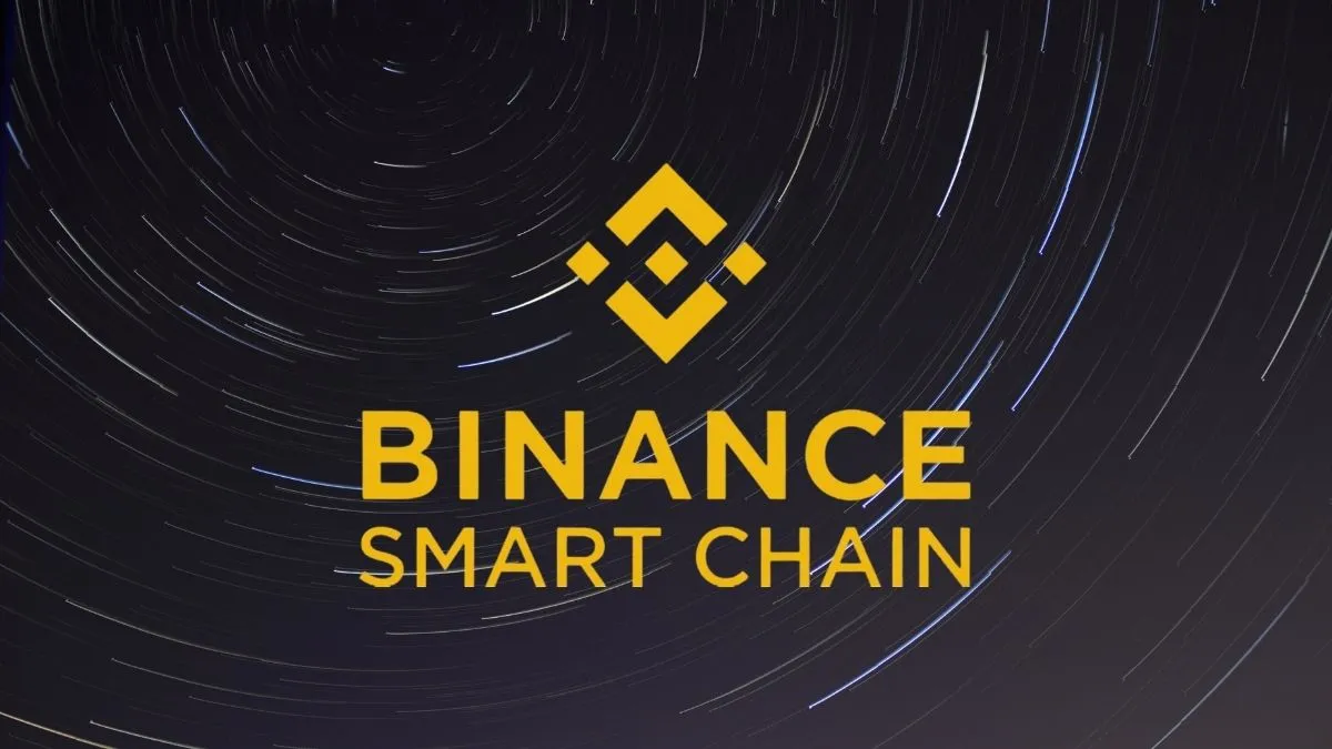 BSC Binance Smart Chain logo