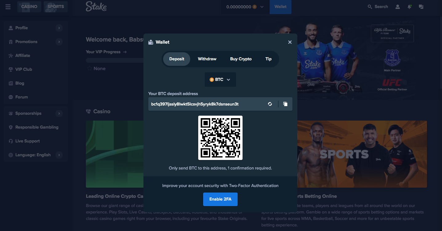 Stake.com esports betting site screenshot
