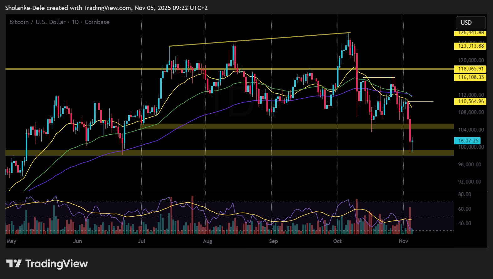 Bitcoin price chart November 2025