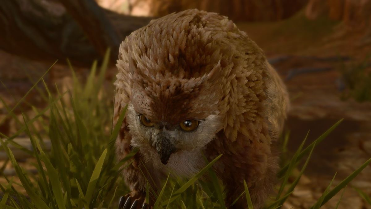 Dramatic Baldur's Gate 3 Act 1 screenshot of Owlbear Cub approaching camp, hidden companion secret for new players 2026