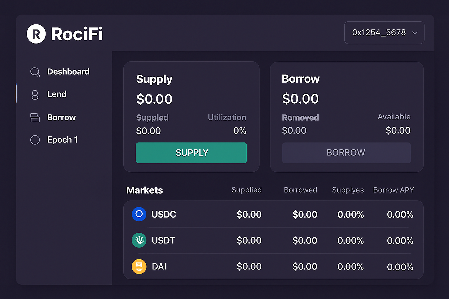 RociFi DeFi protocol interface