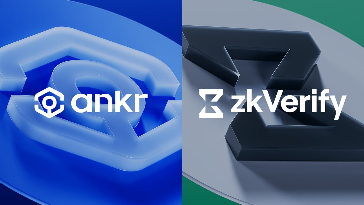 zkVerify supported proof systems