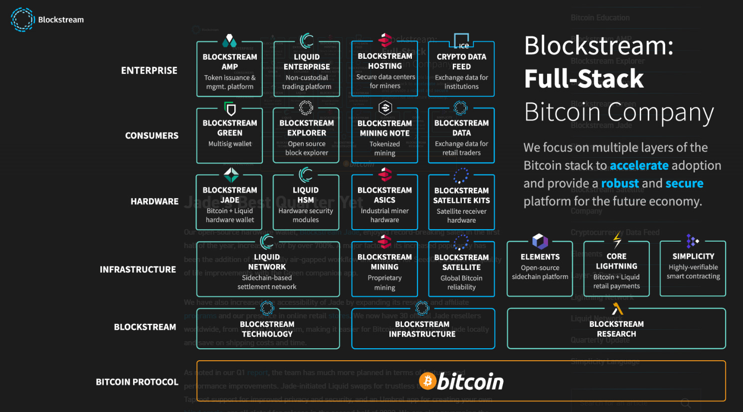 on-chain transaction explorer Block Stranding
