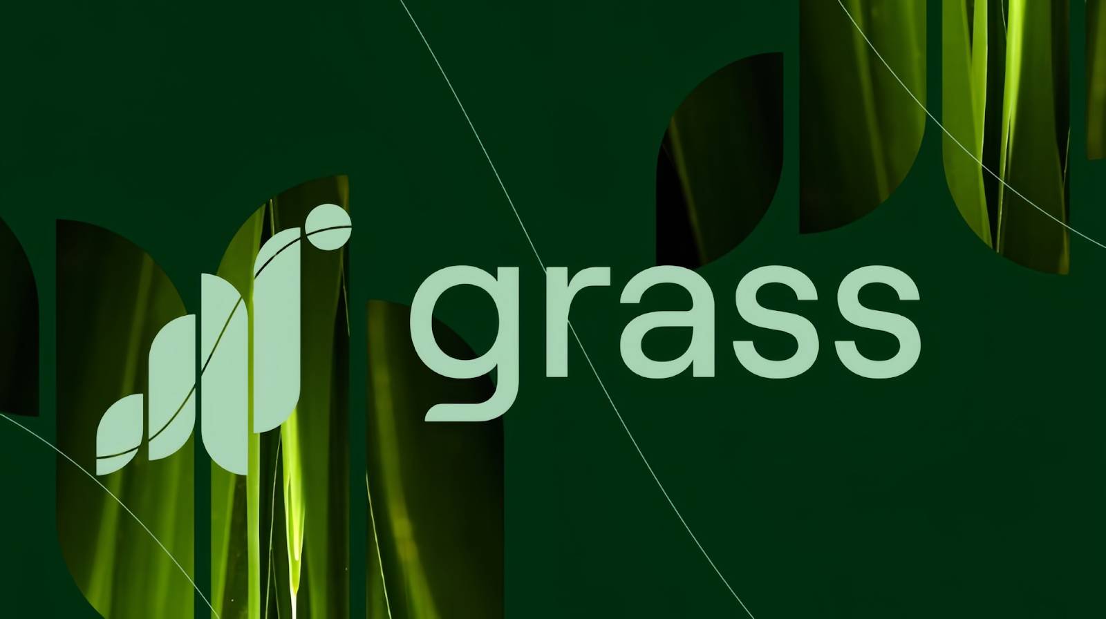 Grass Network Solana logo