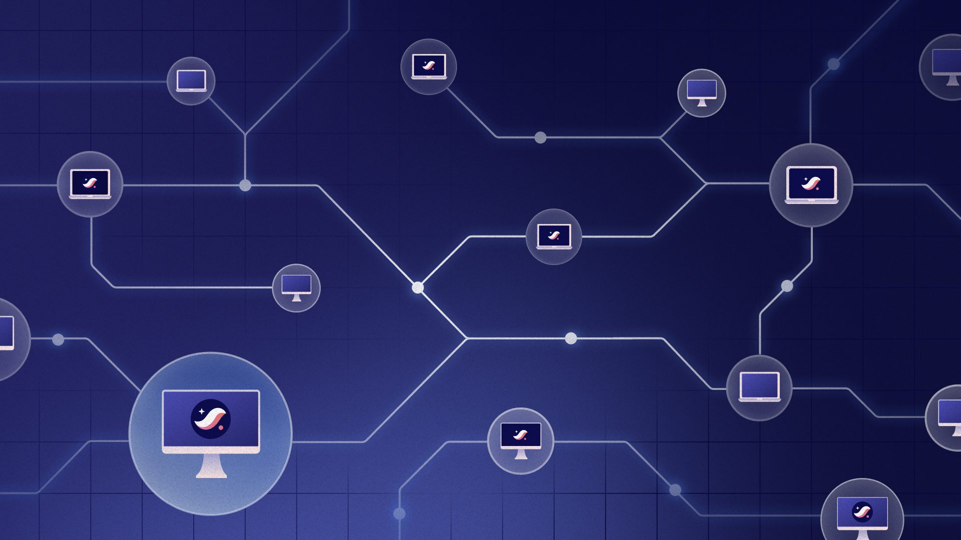 Starknet privacy technology