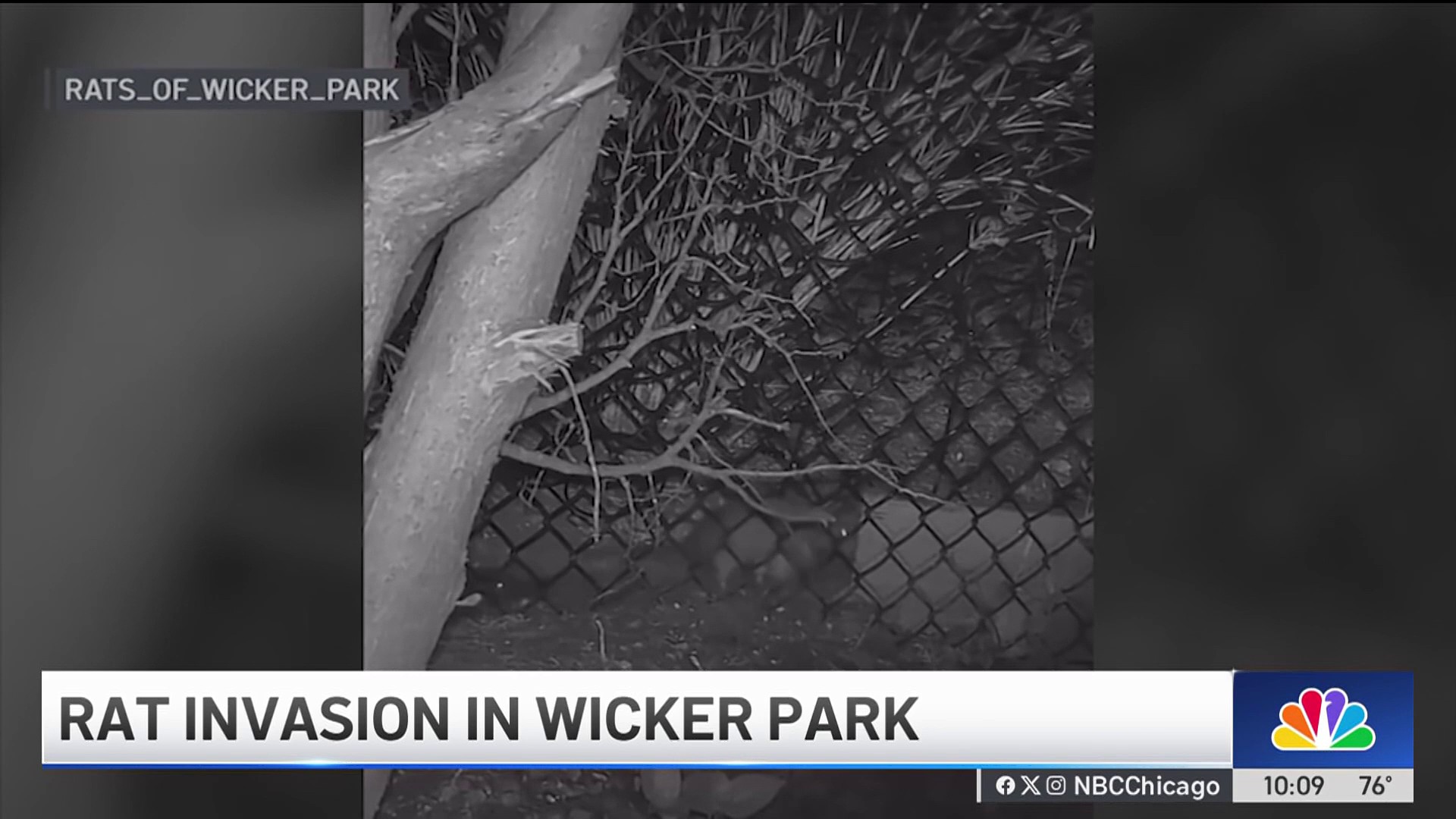 Clash of Rats community engagement