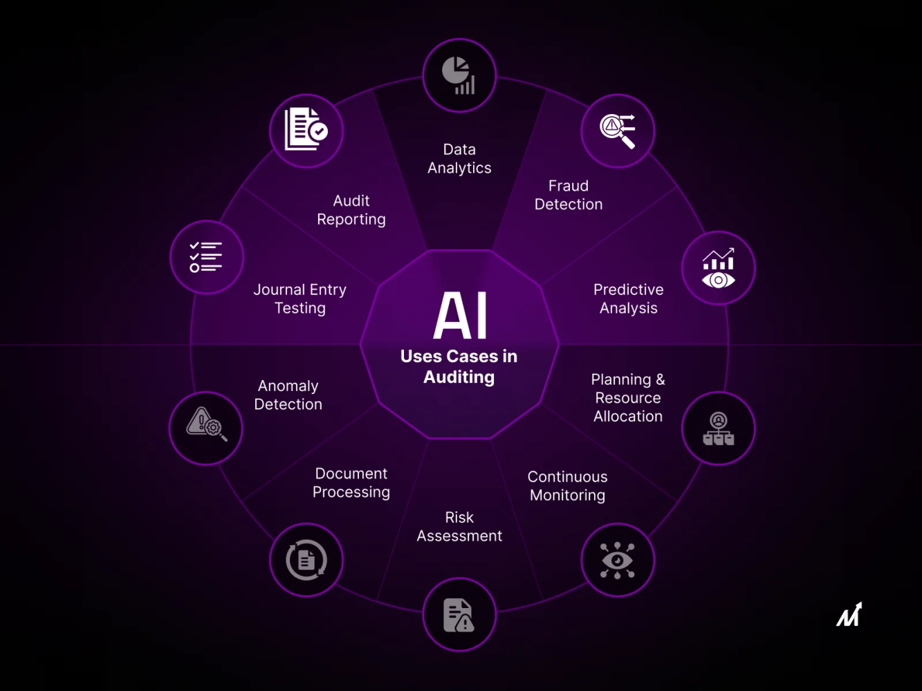AI bias auditing ZK diagram