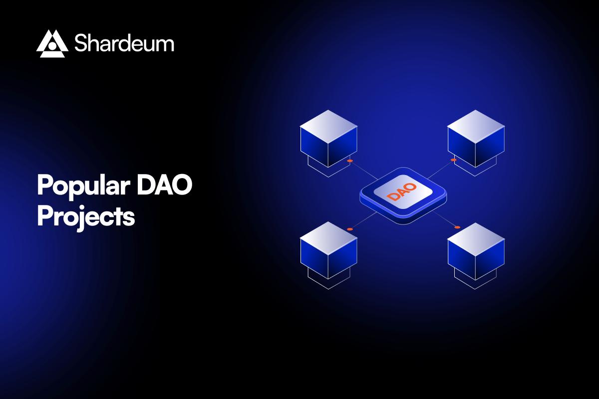 blockchain community DAO support
