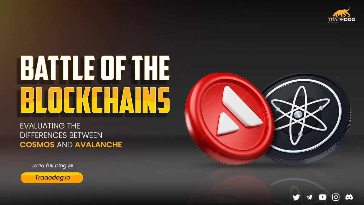 blockchain interoperability Cosmos Avalanche