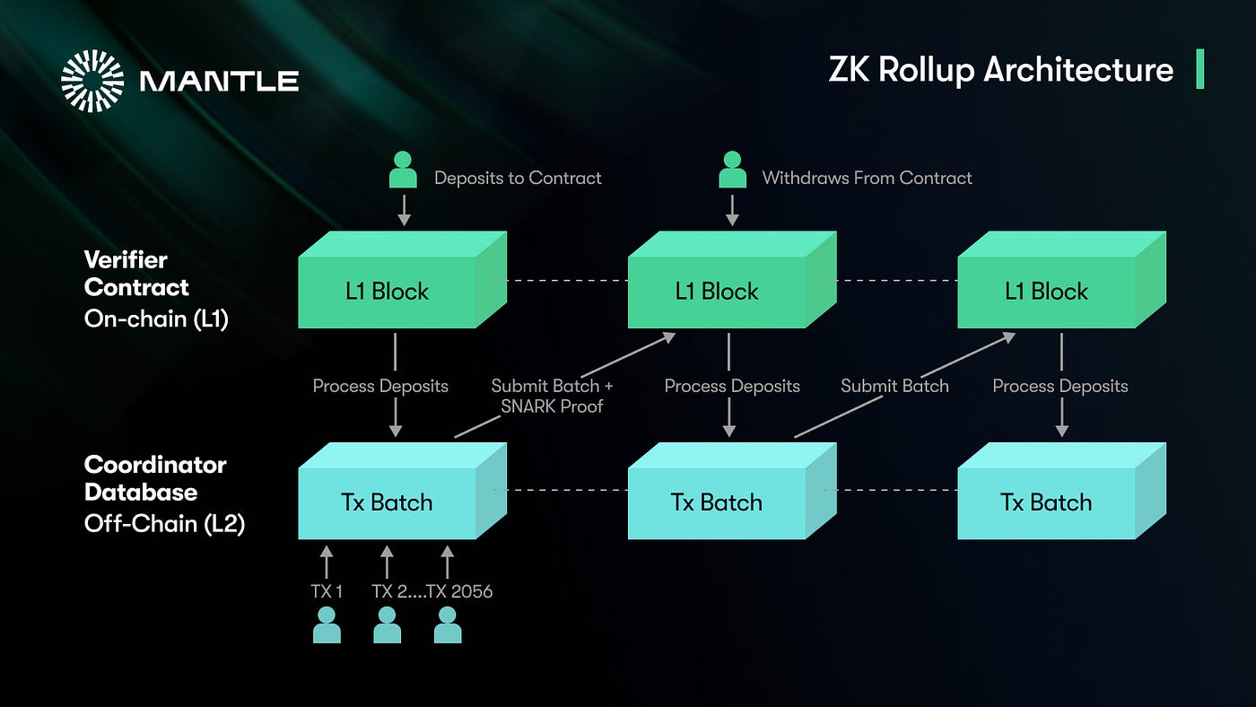 Citrea ZK rollup TPS performance
