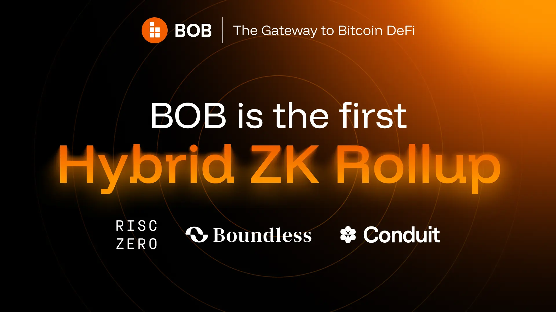 hybrid zk rollup low transaction fees
