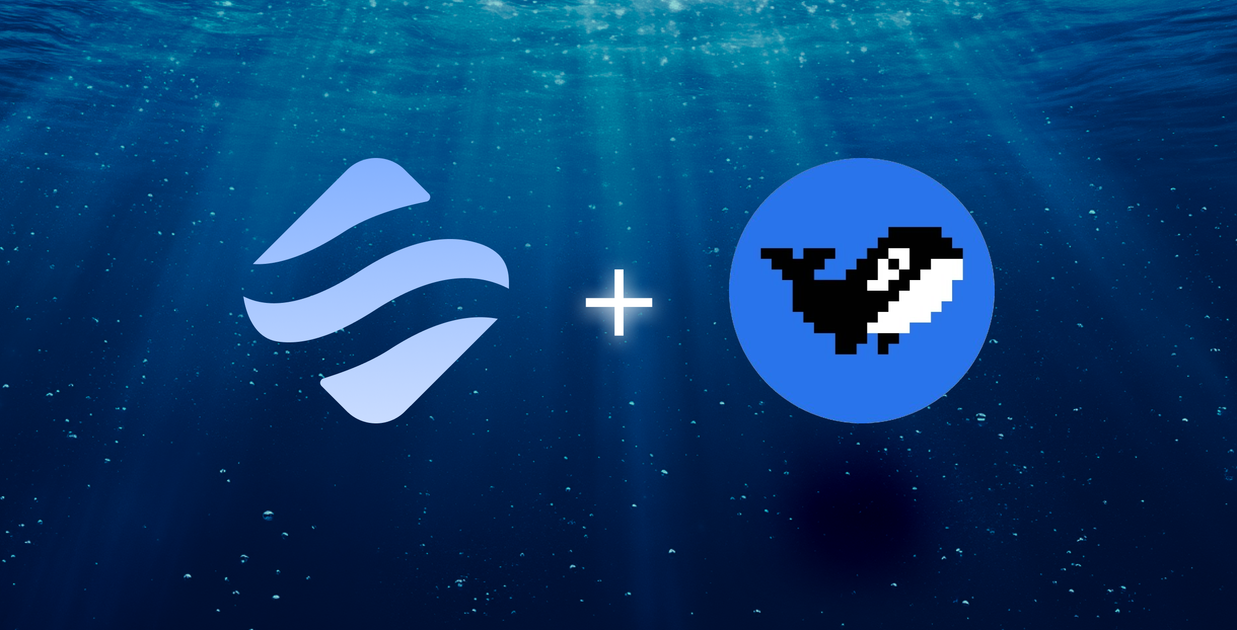 DeBank multi-chain stablecoin portfolio