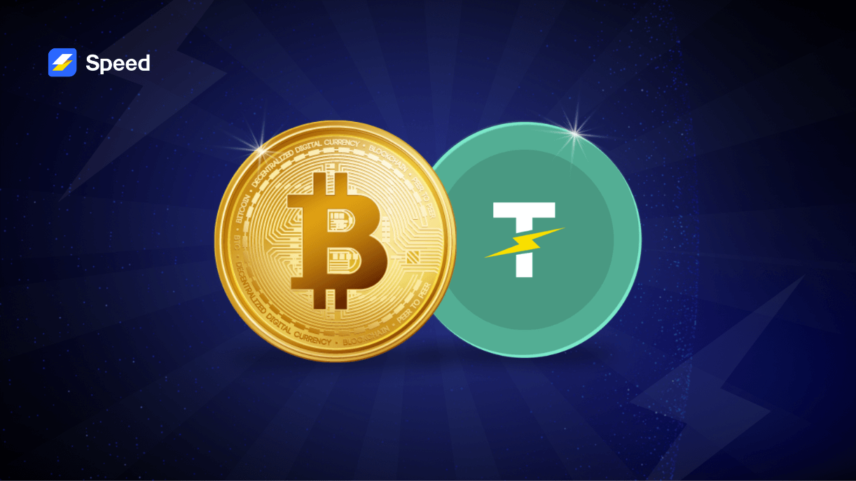 Stablechain enterprise micropayments USDT