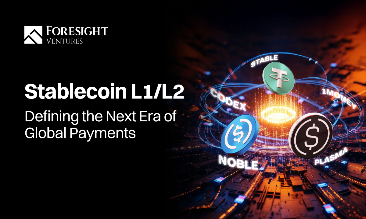 Stablechain scalability enterprise payments