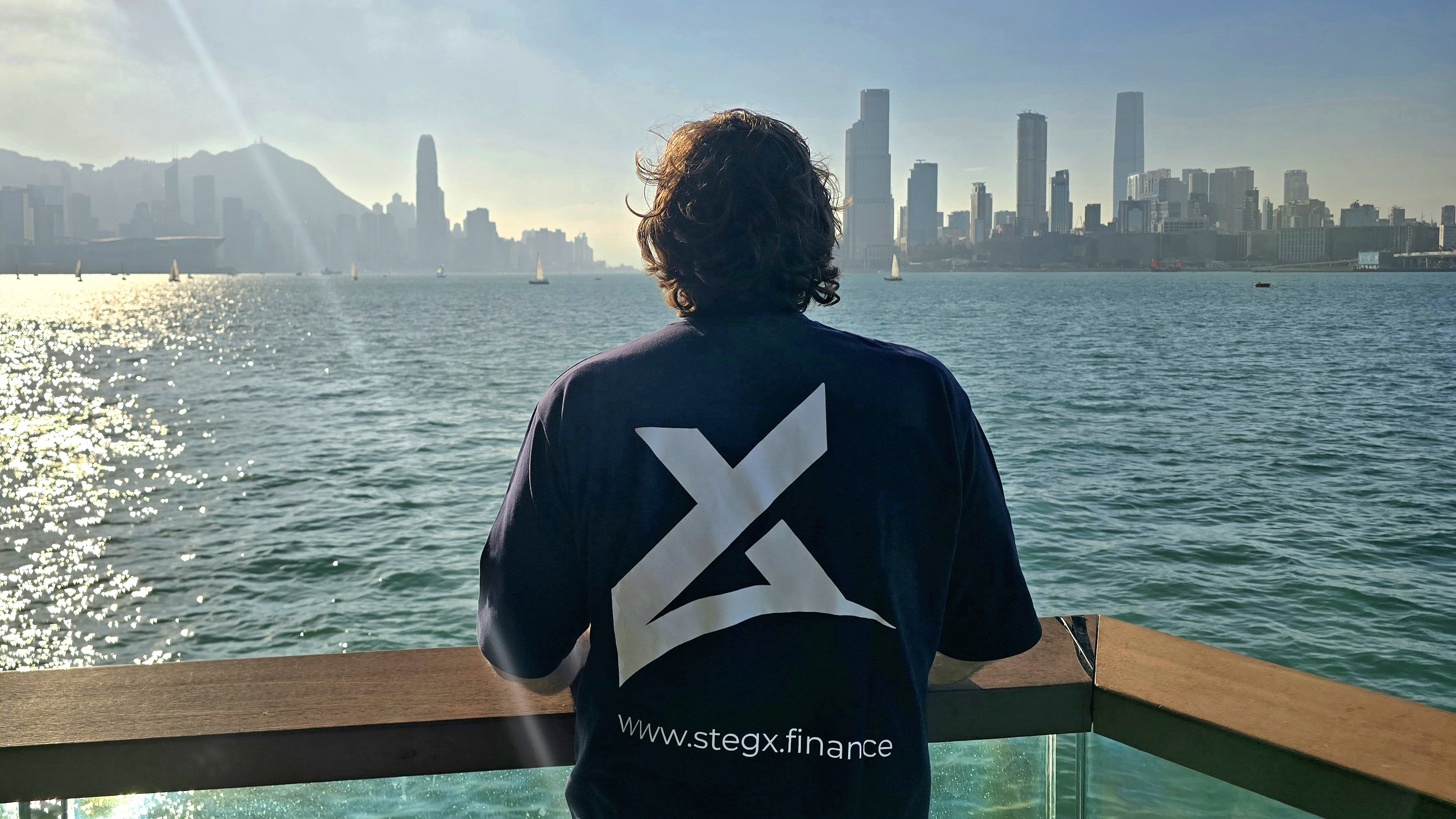 StegX Finance tokenized real estate logo
