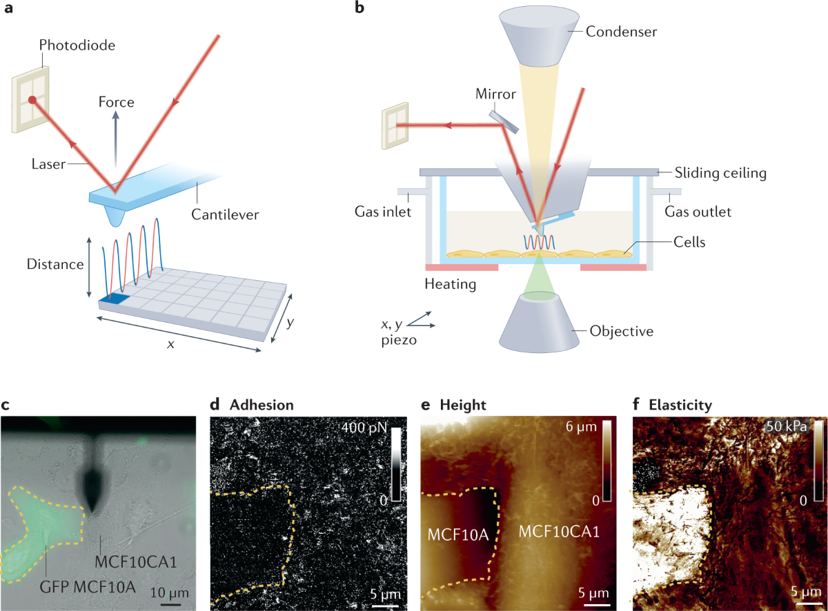 Ronin Ethereum bridge schematic