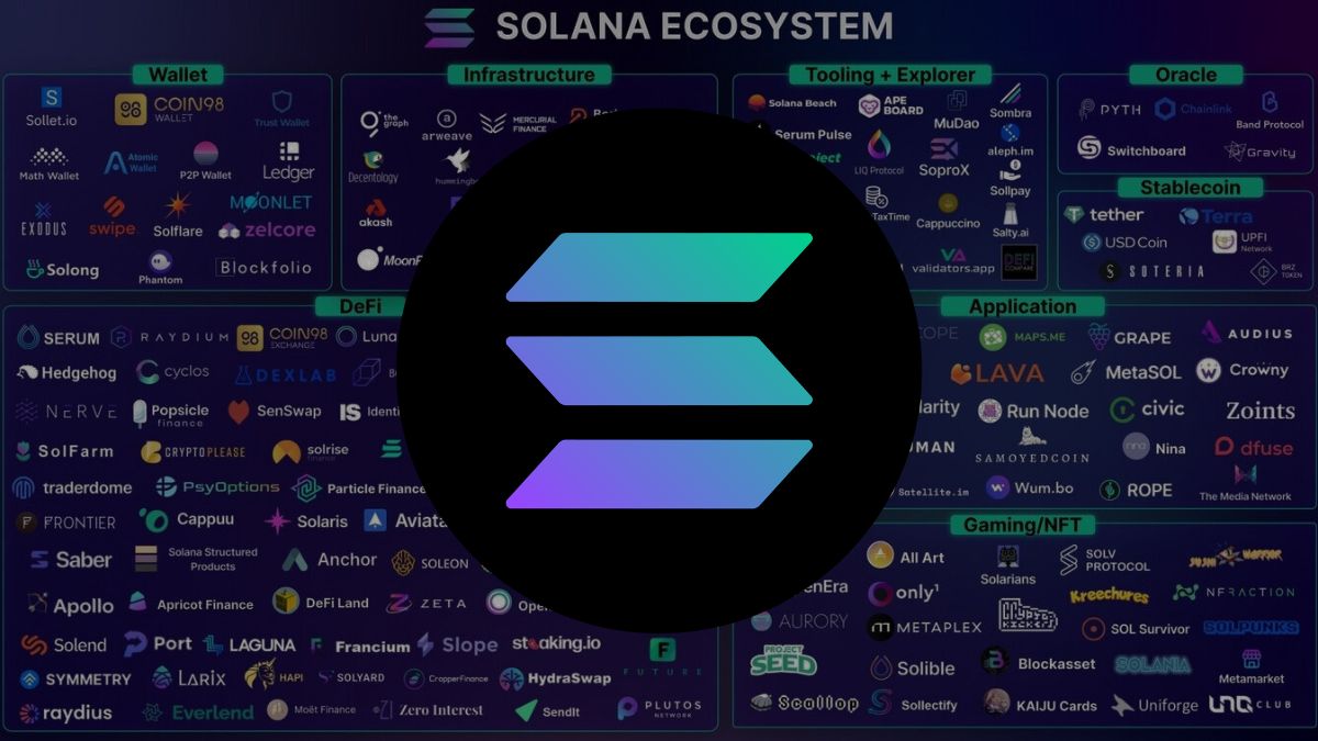 Solana developer activity partnerships 2025
