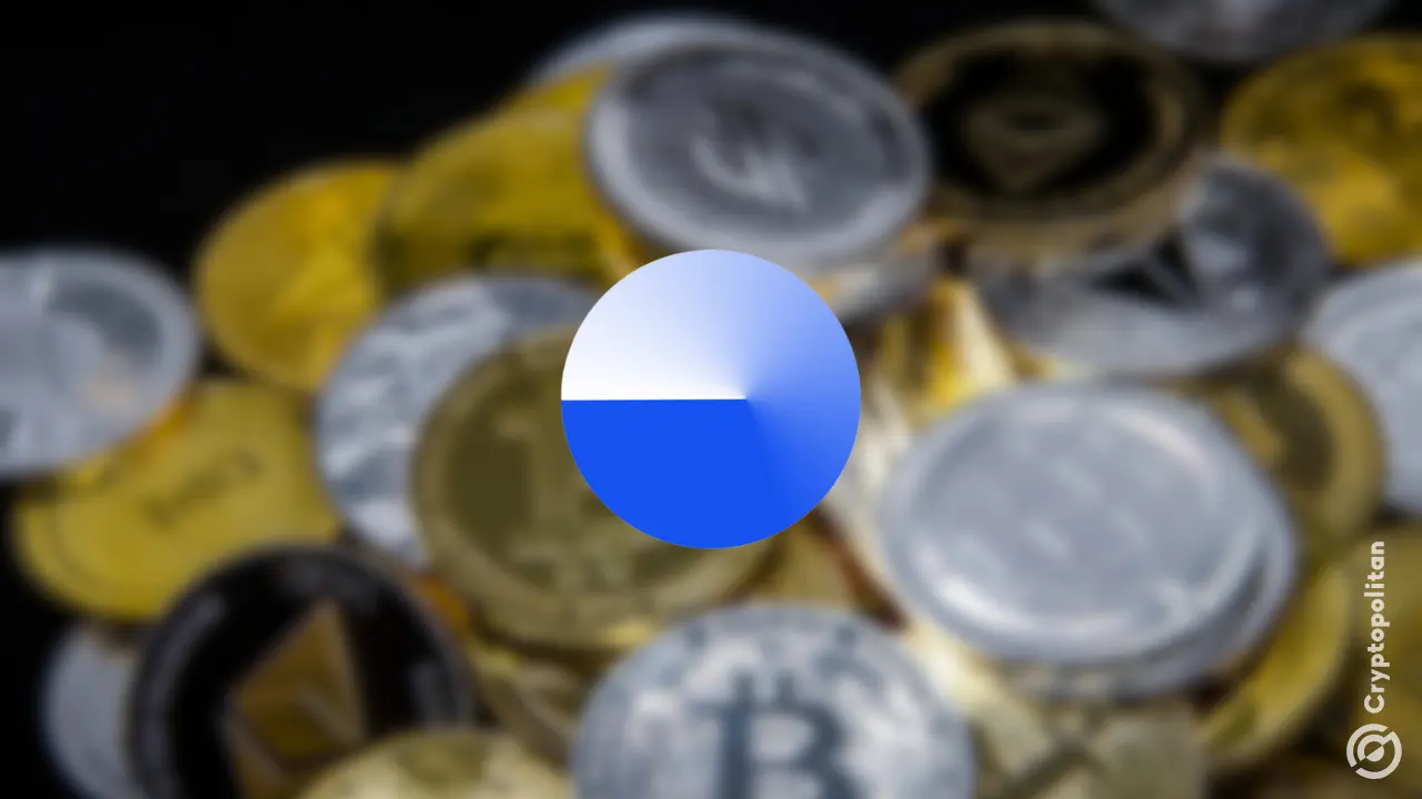 Base Batches 002 developer mentorship funding