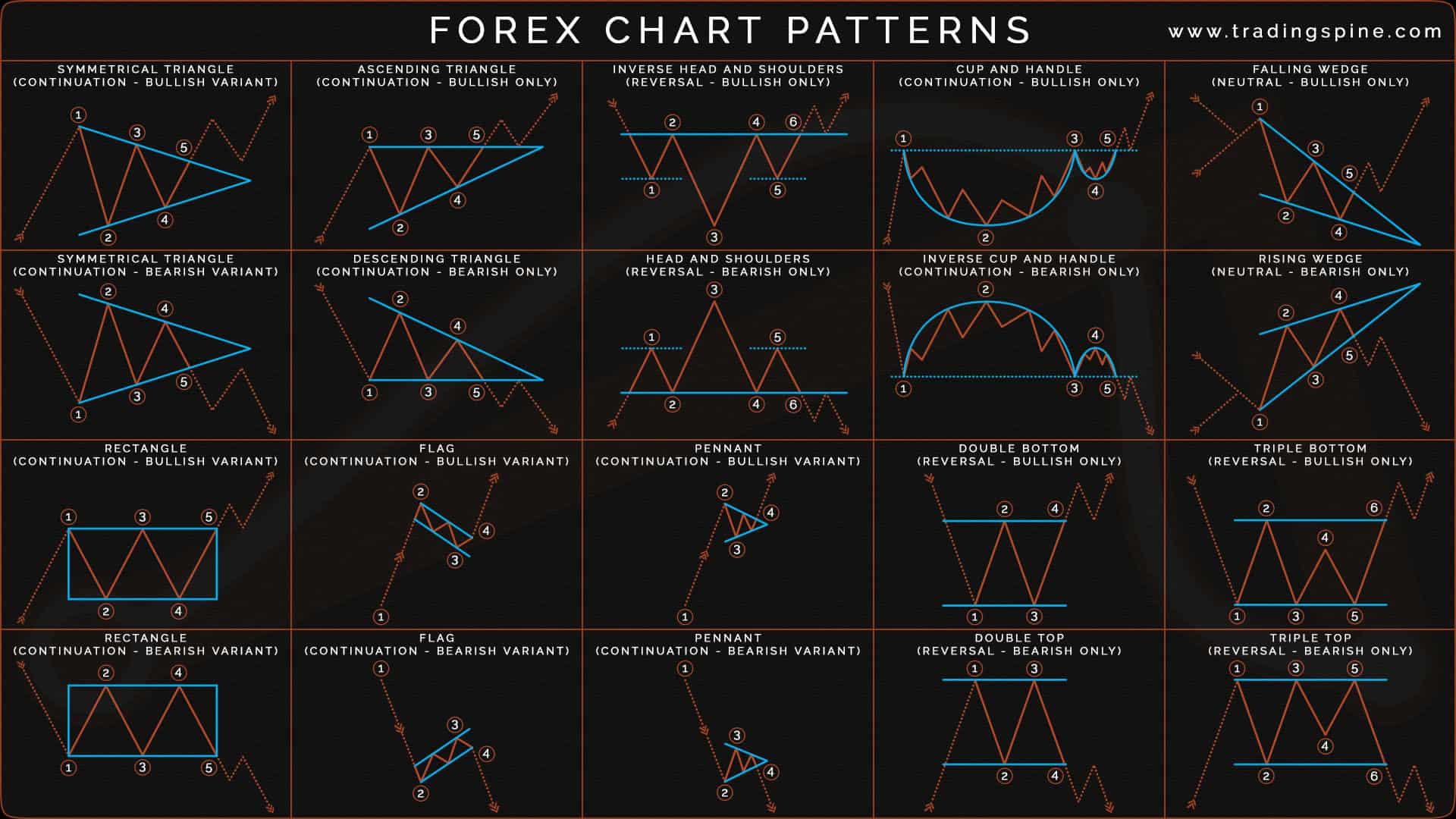 crypto stock market fundamentals infographic