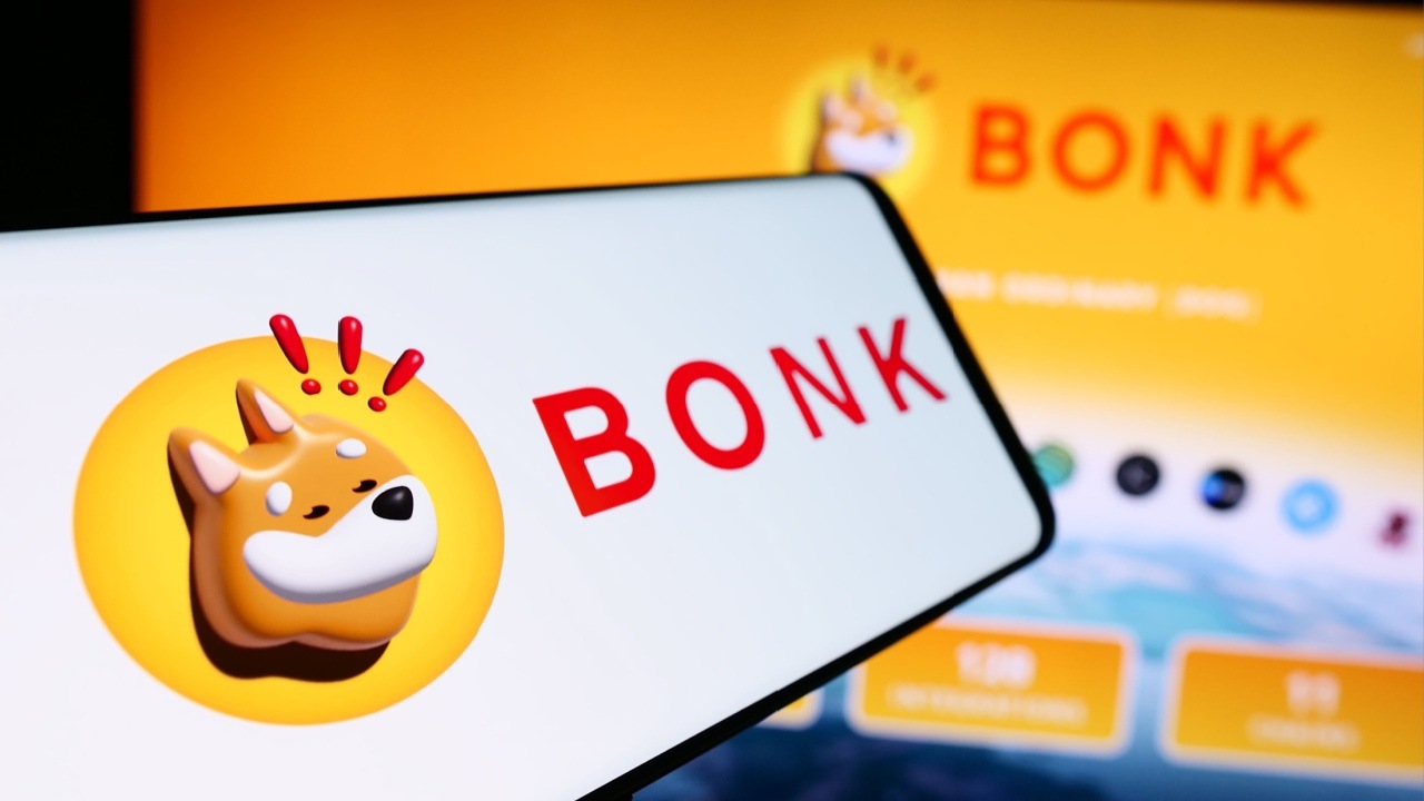 Bonk Solana memecoin logo