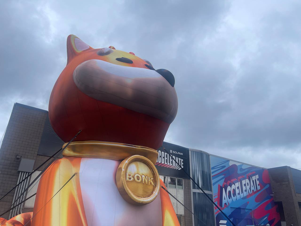 Bonk BONK Solana dog mascot