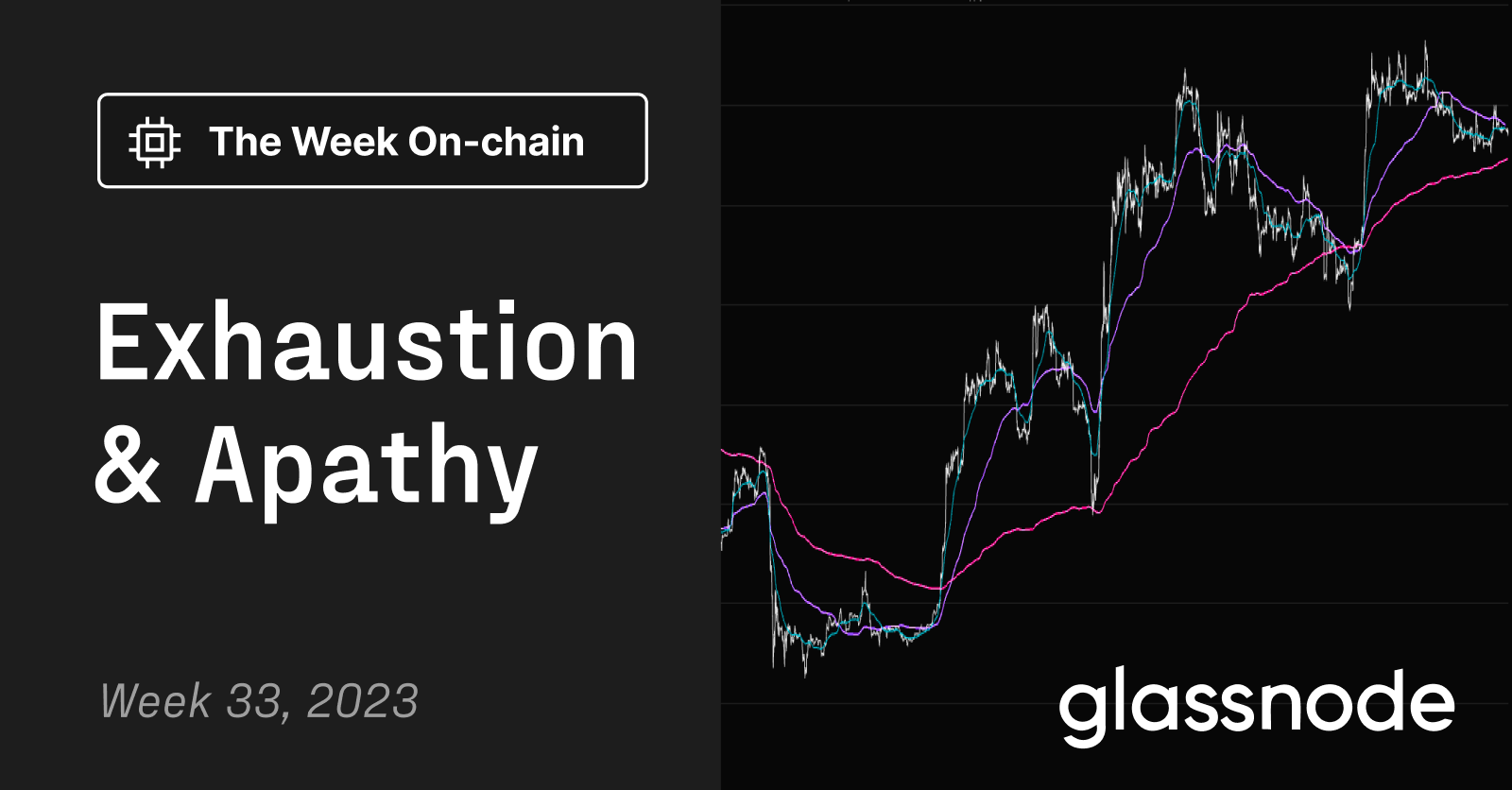 Glassnode ETF holdings analytics dashboard