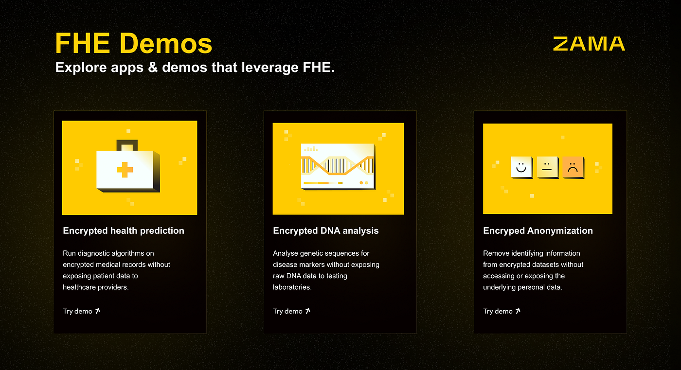 homomorphic encryption FHE DAO voting Zama