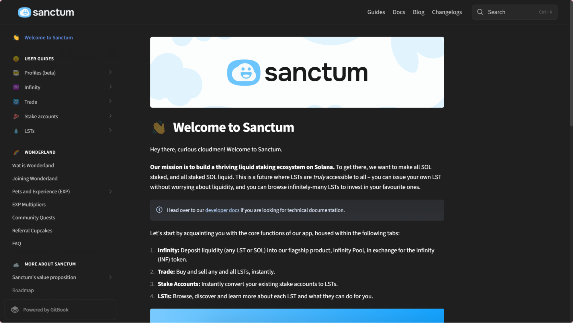 Sanctum Infinity Pool interface Solana