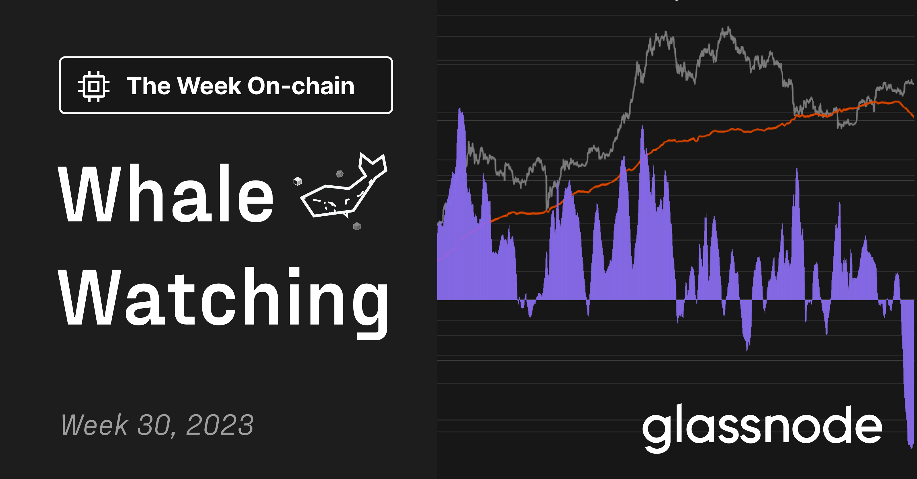 Glassnode dashboard on-chain activity