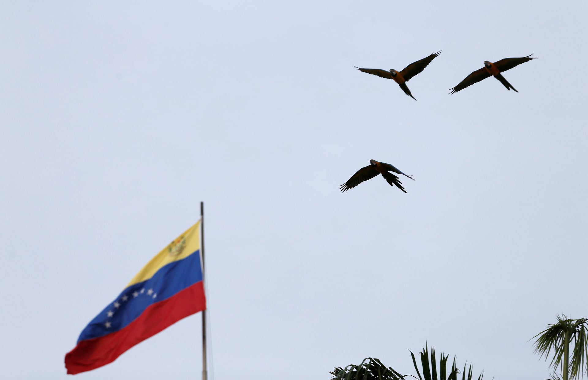 Venezuela flag oil laundering sanctions