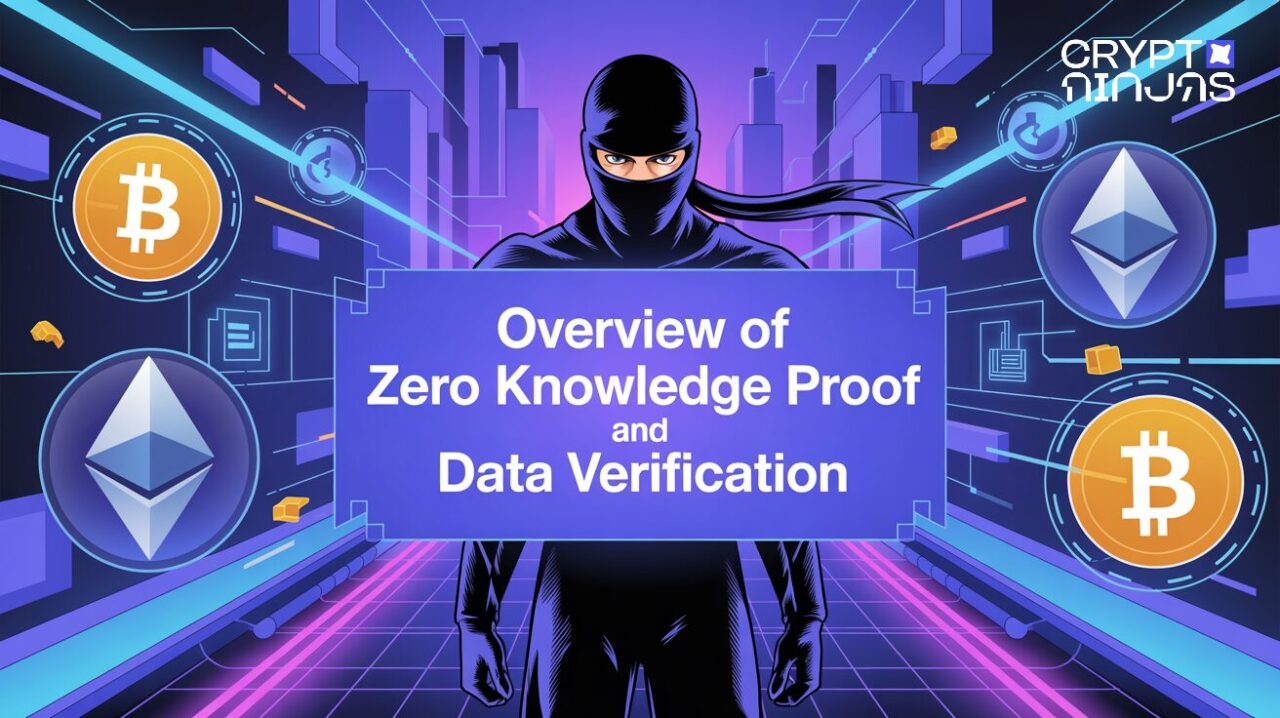 ZKP privacy shield DAO