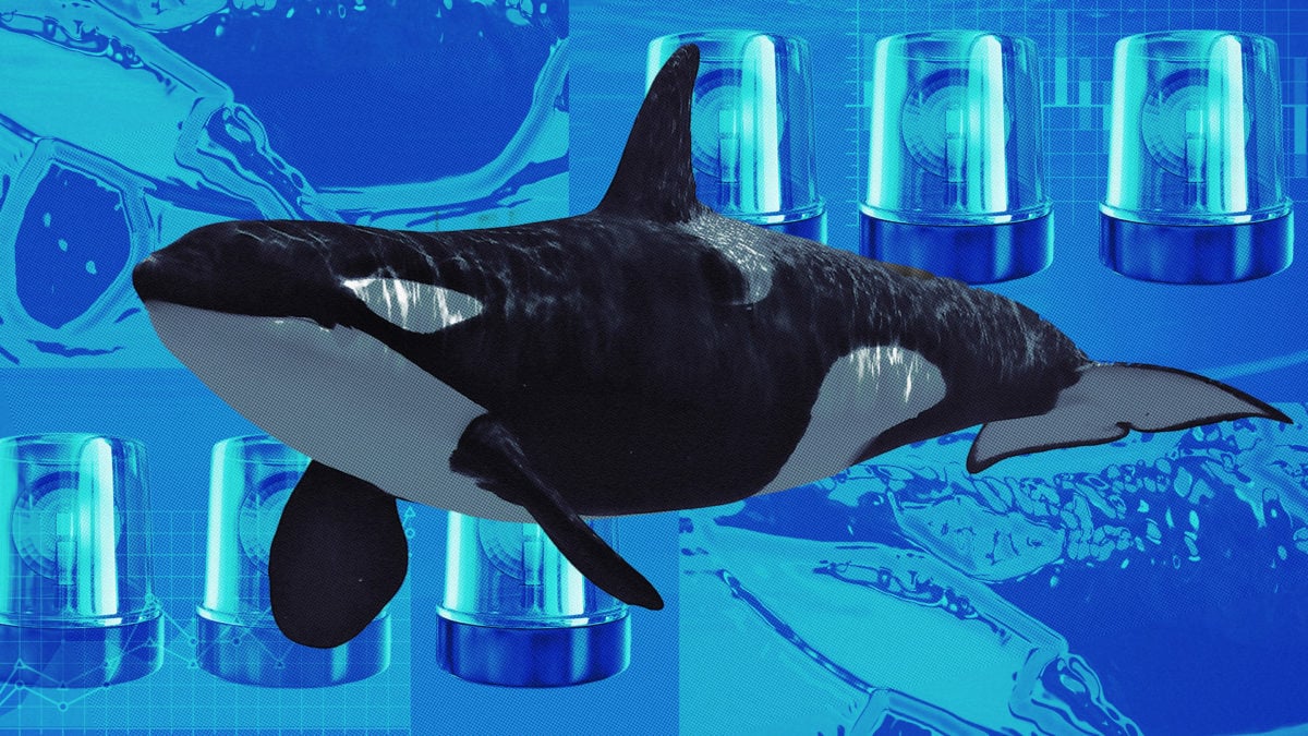 Whale Alert Lookonchain stablecoin transaction