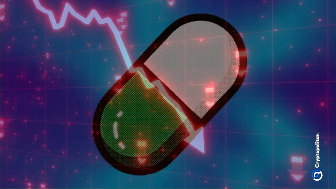 $RAYRUG Solana memecoin Pump.fun CTO