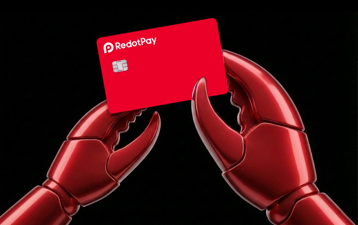 RedotPay multi-chain crypto card