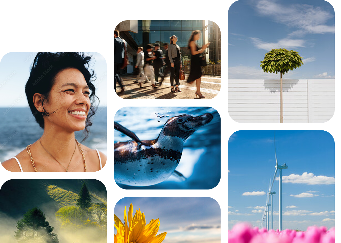 Royalty Trust Pool C2PA blockchain music