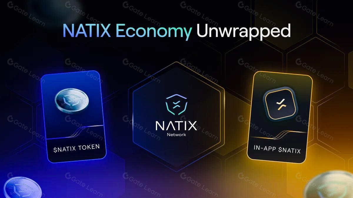NATIX Network Solana AI smart camera
