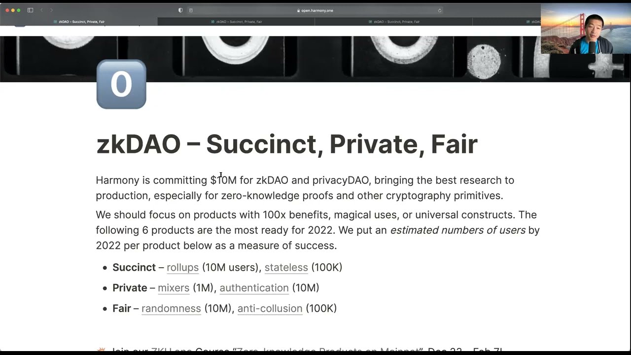 zkDAO governance dashboard