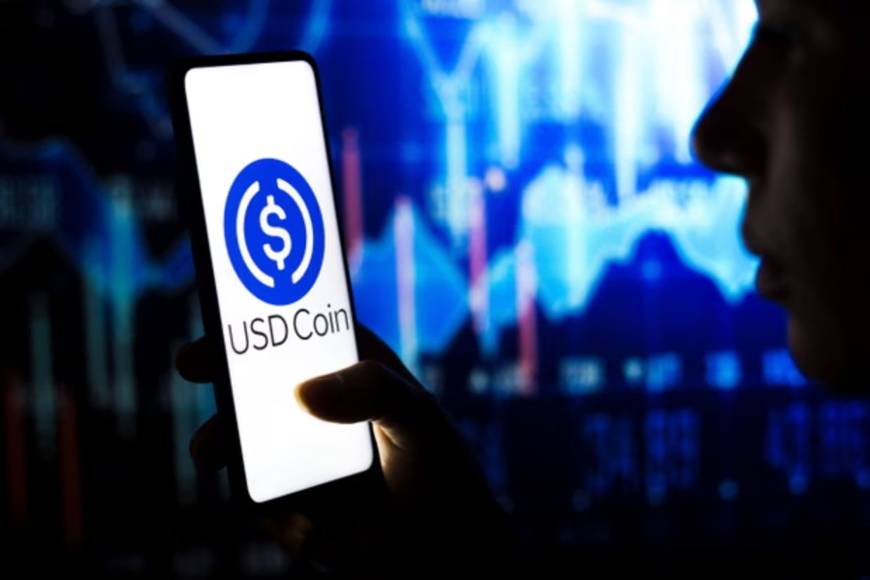 Portfolio with DAI, USDC, and LUSD stablecoins