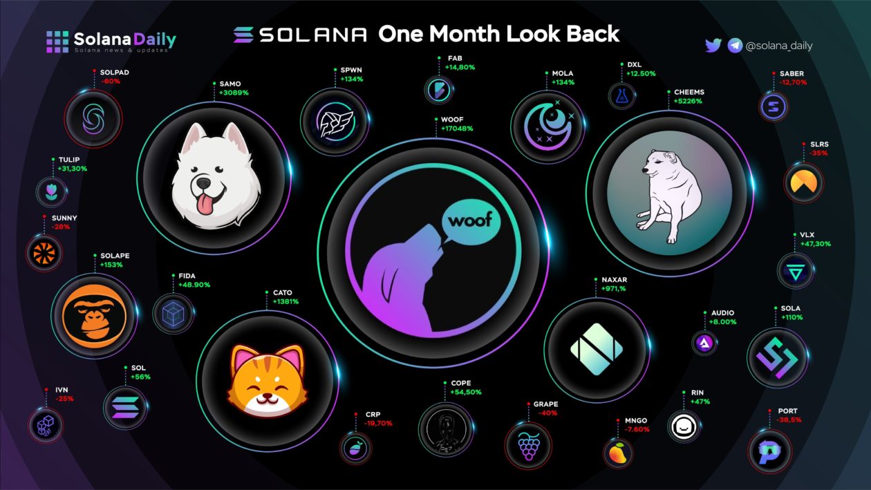 Illustration of Solana (SOL) tokens bridging traditional finance and digital assets, symbolizing the integration of blockchain technology with retirement accounts and investment portfolios.