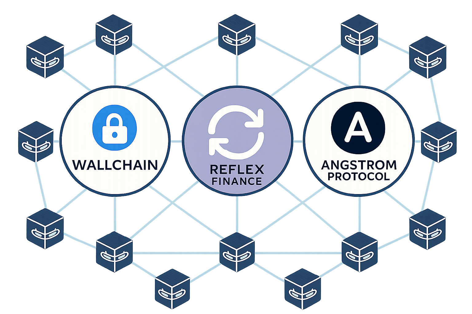 Wallchain, Reflex Finance, and Angstrom Protocol logos interconnected over a blockchain network, representing MEV redistribution protocols in DeFi.