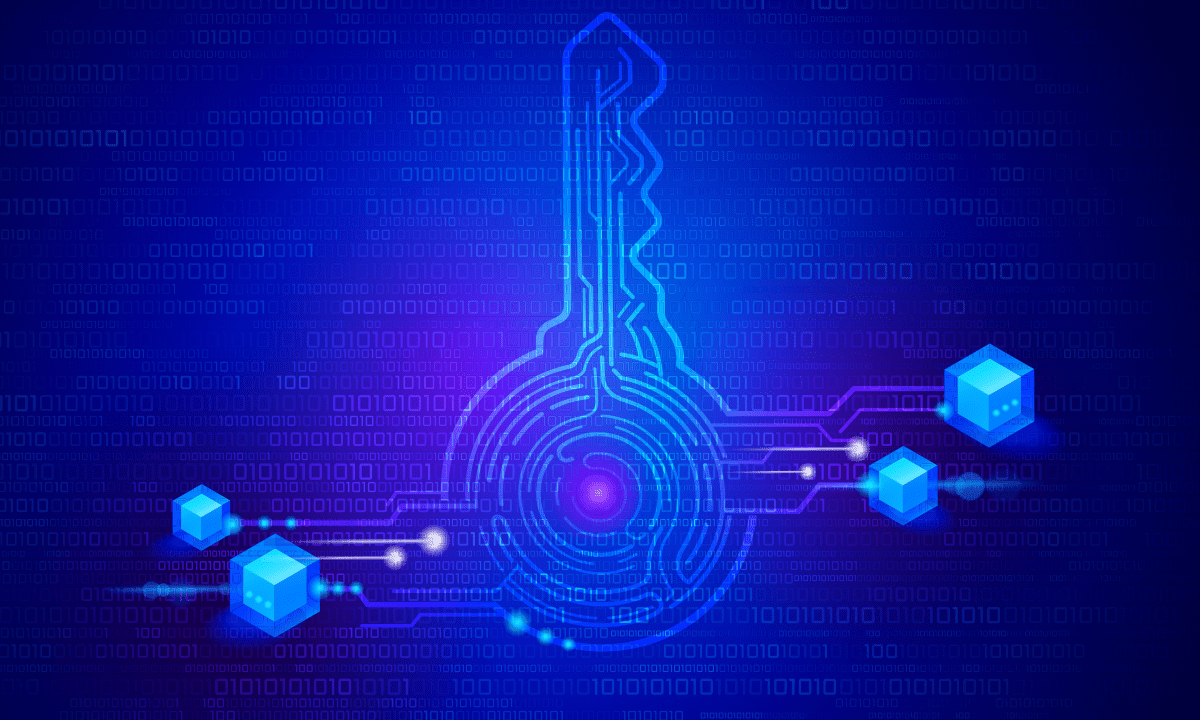 Infographic of proof-of-humanity using ZK identity wallets for Bitcoin and stablecoin economies, visual flow diagram of privacy-preserving verification without surveillance, self-sovereign ID privacy tools
