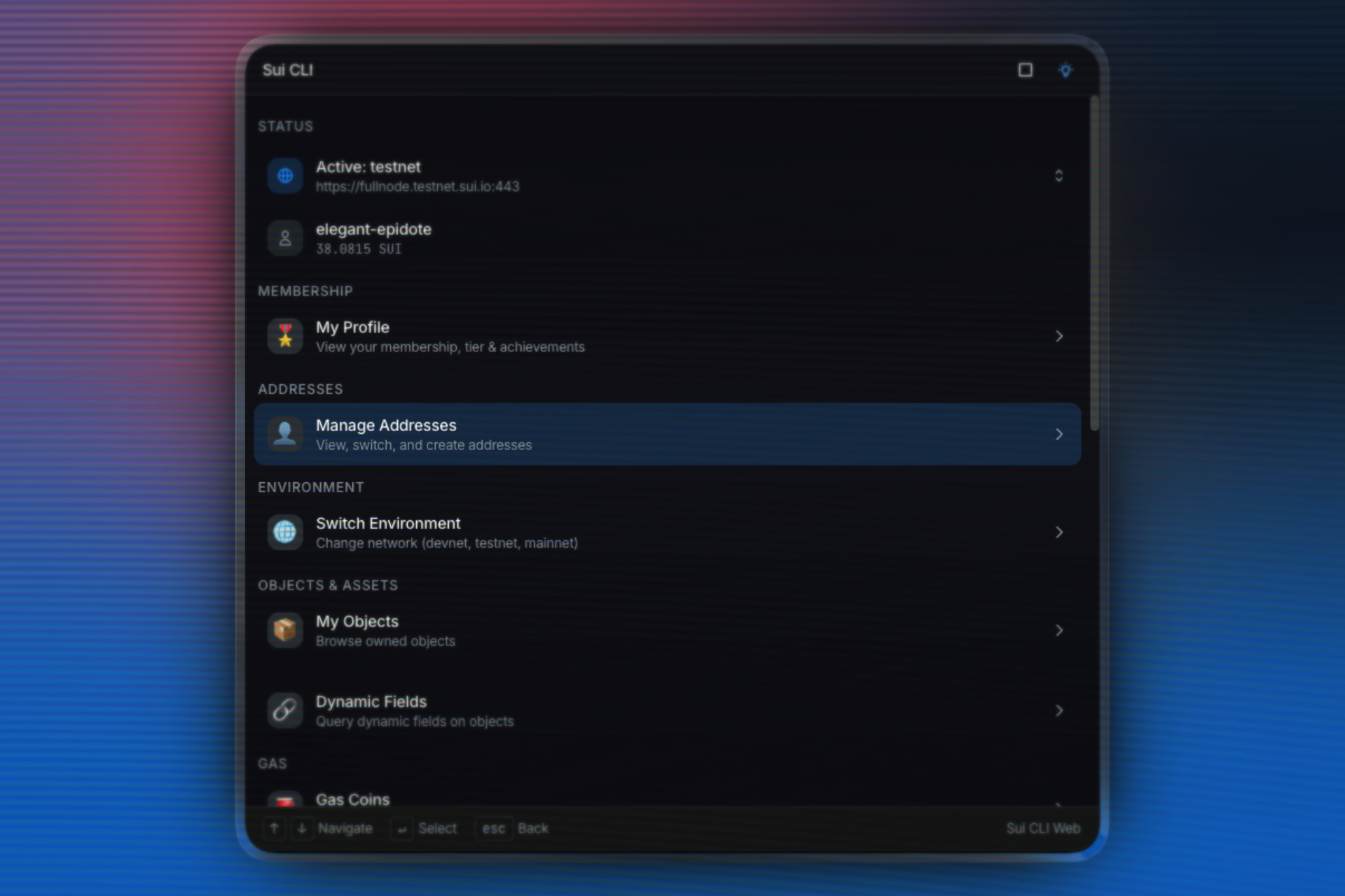 Step-by-step terminal screenshot of deploying Sui Move module to mainnet using Sui CLI commands like sui move new, build, and publish
