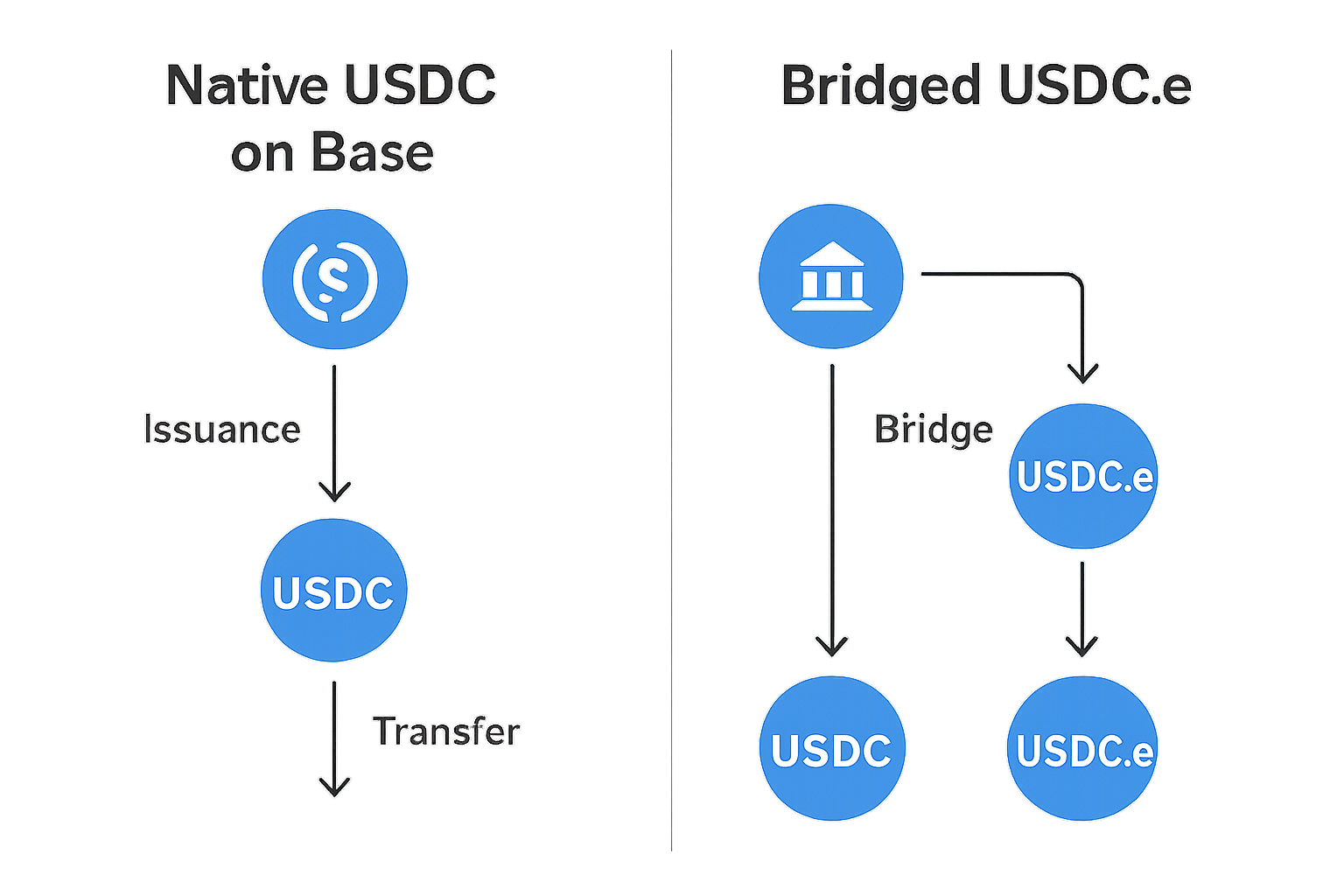 Visual comparison of native USDC on Base versus bridged USDC.e token flows, highlighting differences in security and liquidity on the Base blockchain