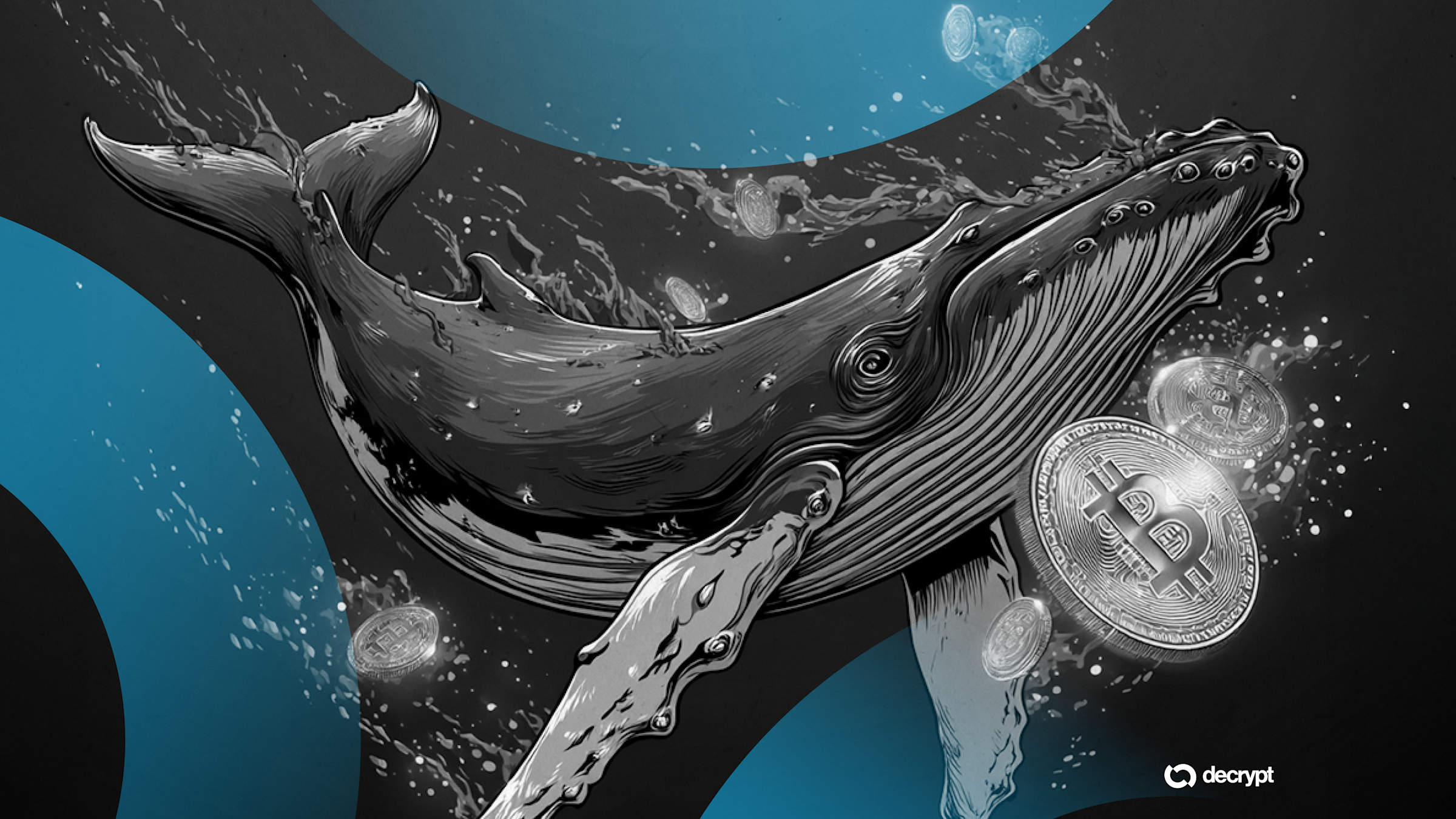 Conceptual image of a whale swimming beneath a sea of digital coins, symbolizing crypto whales influencing cryptocurrency markets through large transactions and trading volume.