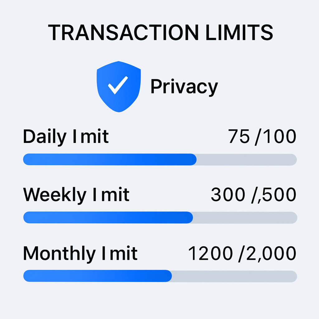 A digital dashboard showing transaction limits and progress bars, with a shield icon for privacy, in a clear infographic style