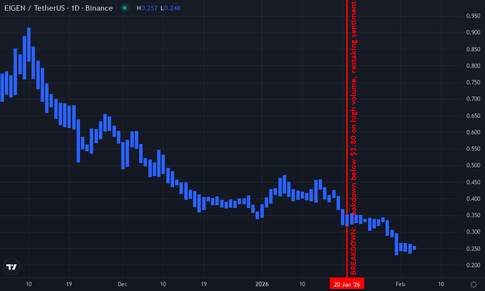 EIGEN Technical Chart by Anna Müller
