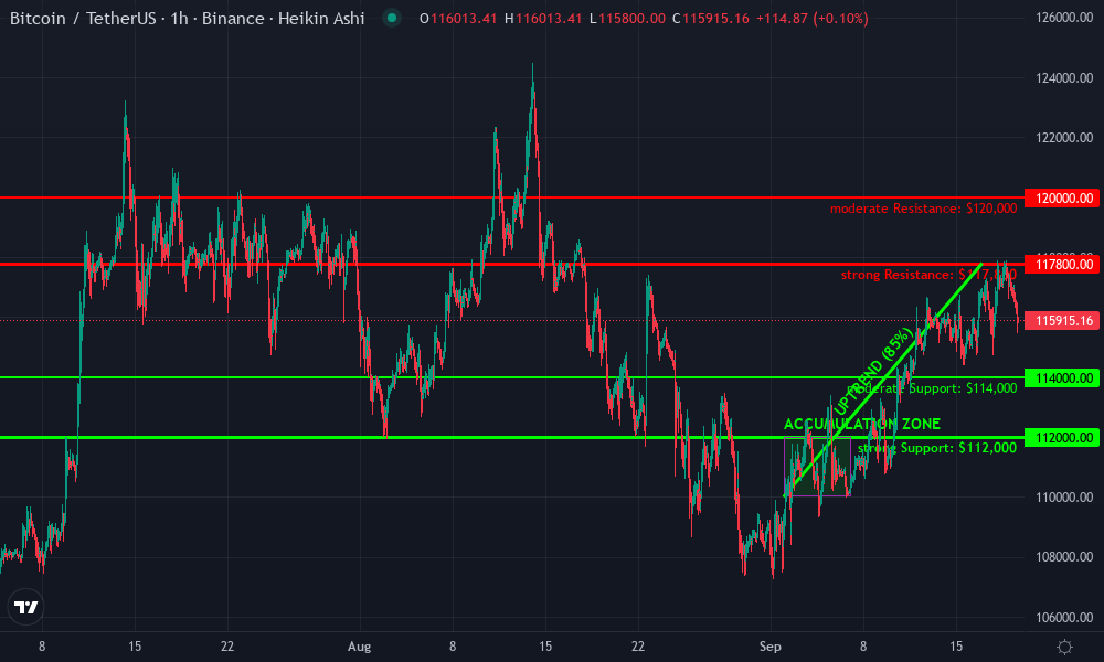 Bitcoin Technical Chart by Benjamin Foster